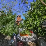 Апартаменты Egerius Винишче